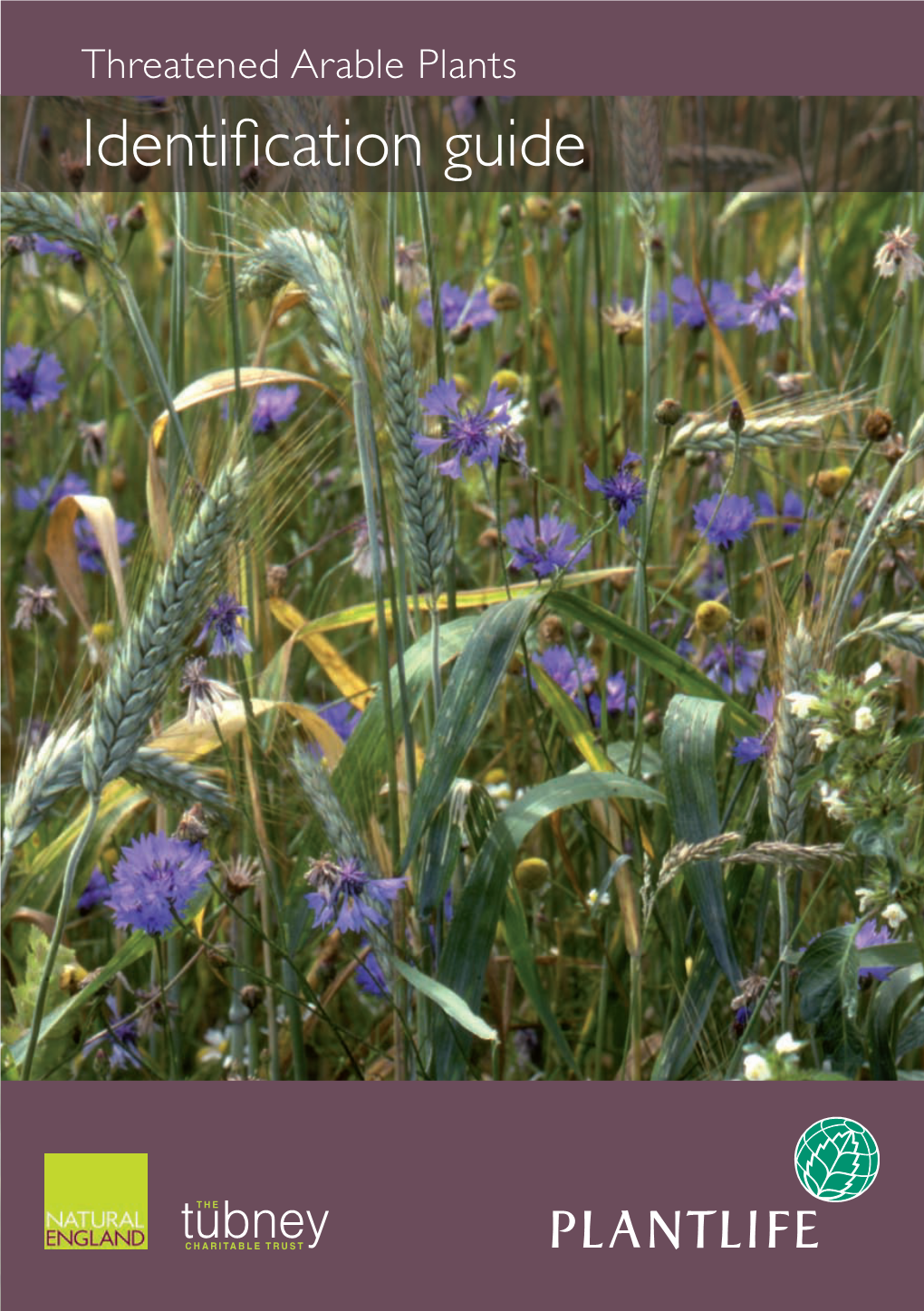 Threatened Arable Plants Identification Guide THREATENED ARABLE PLANTS ID GUIDE THREATENED ARABLE PLANTS ID GUIDE