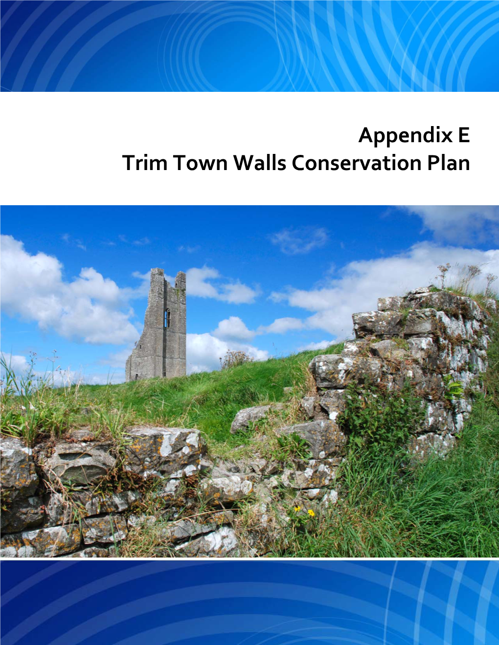 Appendix E Trim Town Walls Conservation Plan