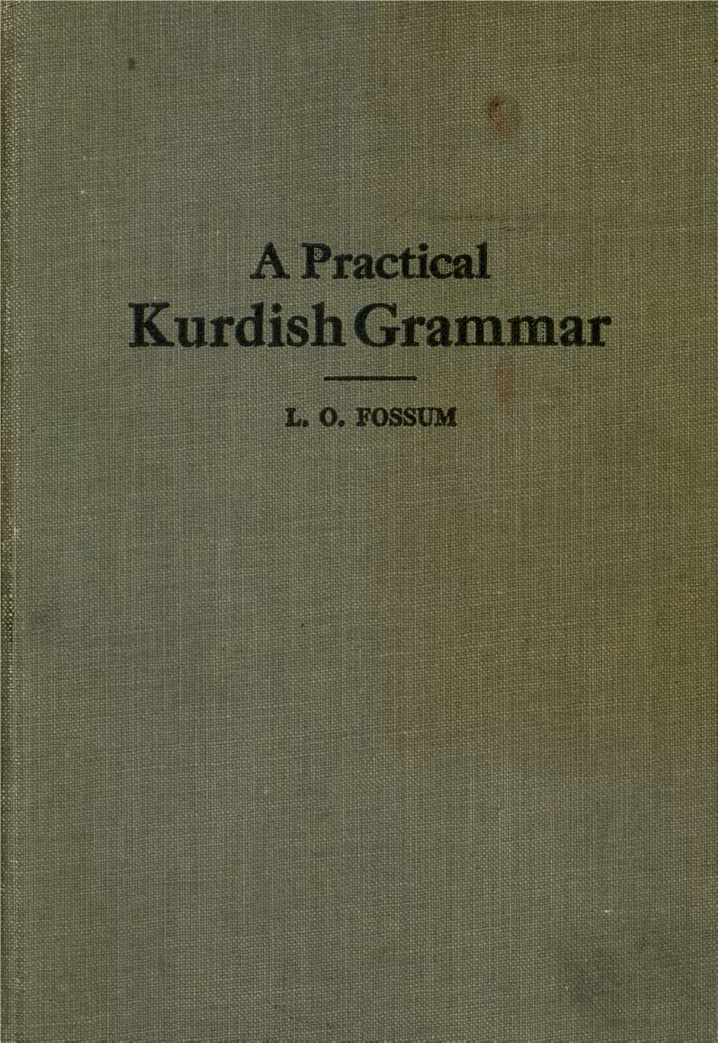 A Practical Kurdish Grammar