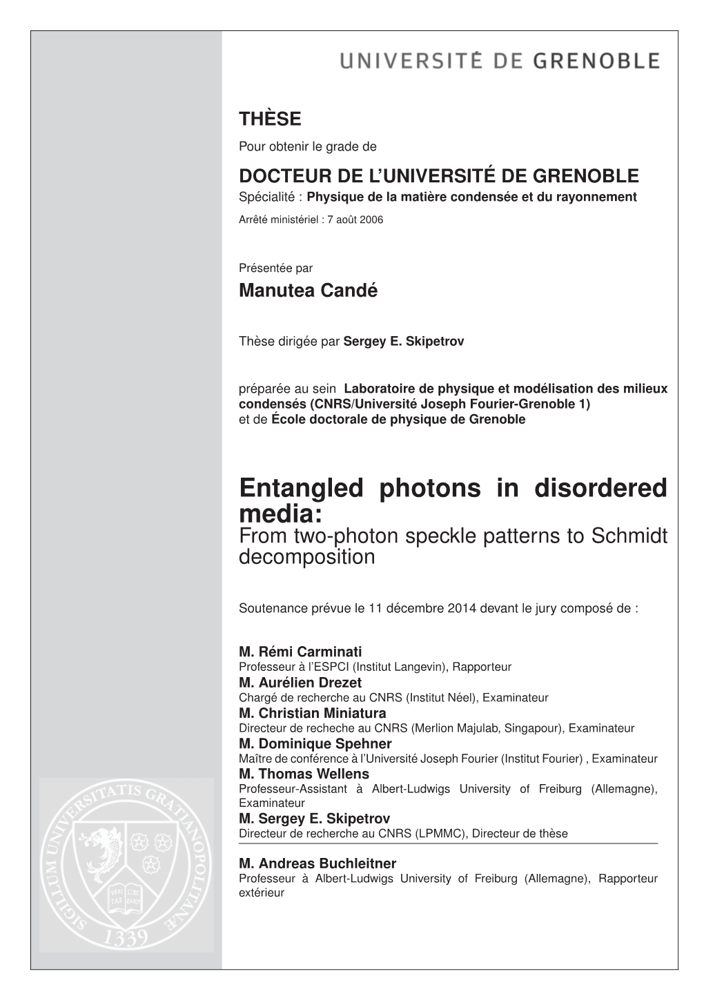 Entangled Photons in Disordered Media: from Two-Photon Speckle Patterns to Schmidt Decomposition