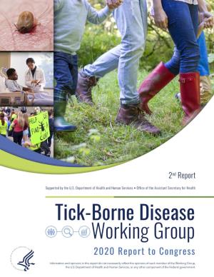 Tick-Borne Disease Working Group 2020 Report to Congress