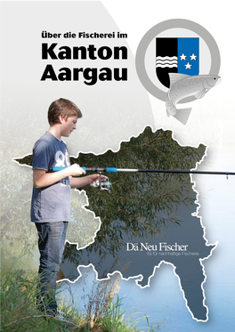 Kanton Aargau Die Surb Gehört Zur Aargauer Forellenregion