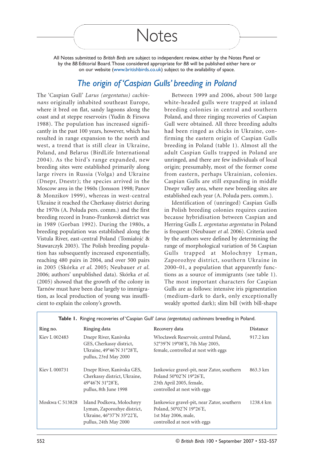 The Origin of 'Caspian Gulls' Breeding in Poland