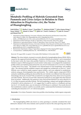 Metabolic Profiling of Hybrids Generated from Pummelo and Citrus Latipes in Relation to Their Attraction to Diaphorina Citri, Th