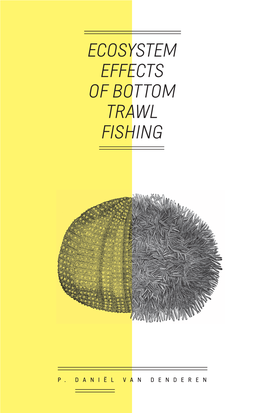 Ecosystem Effects of Bottom Trawl Fishing