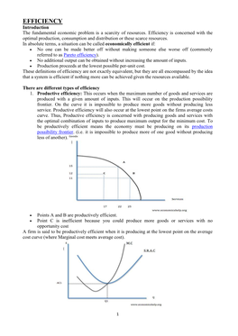 Economic Efficiency