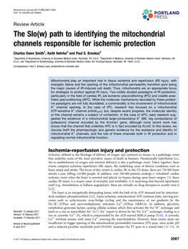 The Slo(W) Path to Identifying the Mitochondrial Channels Responsible for Ischemic Protection