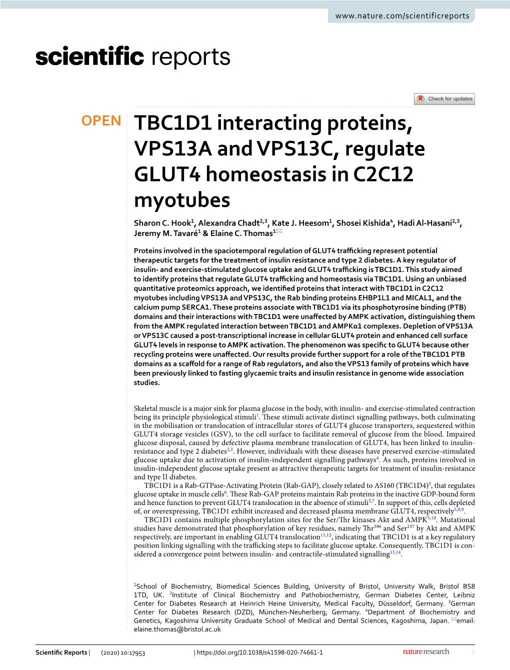 TBC1D1 Interacting Proteins, VPS13A and VPS13C, Regulate GLUT4 Homeostasis in C2C12 Myotubes Sharon C