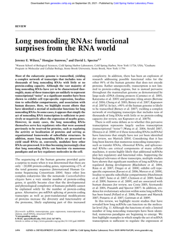 Long Noncoding Rnas: Functional Surprises from the RNA World