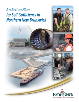 An Action Plan for Self-Sufficiency in Northern New Brunswick an ACTION PLAN for SELF-SUFFICIENCY in NORTHERN NEW BRUNSWICK 2010-2013 Message from the Premier