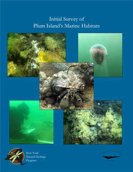 Initial Survey of Plum Island's Marine Habitats