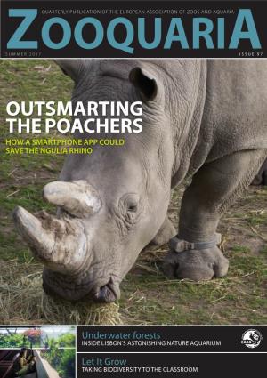 Outsmarting the Poachers How a Smartphone App Could Save the Ngulia Rhino