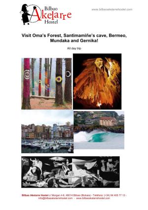 Visit Oma's Forest, Santimamiñe's Cave, Bermeo, Mundaka and Gernika!