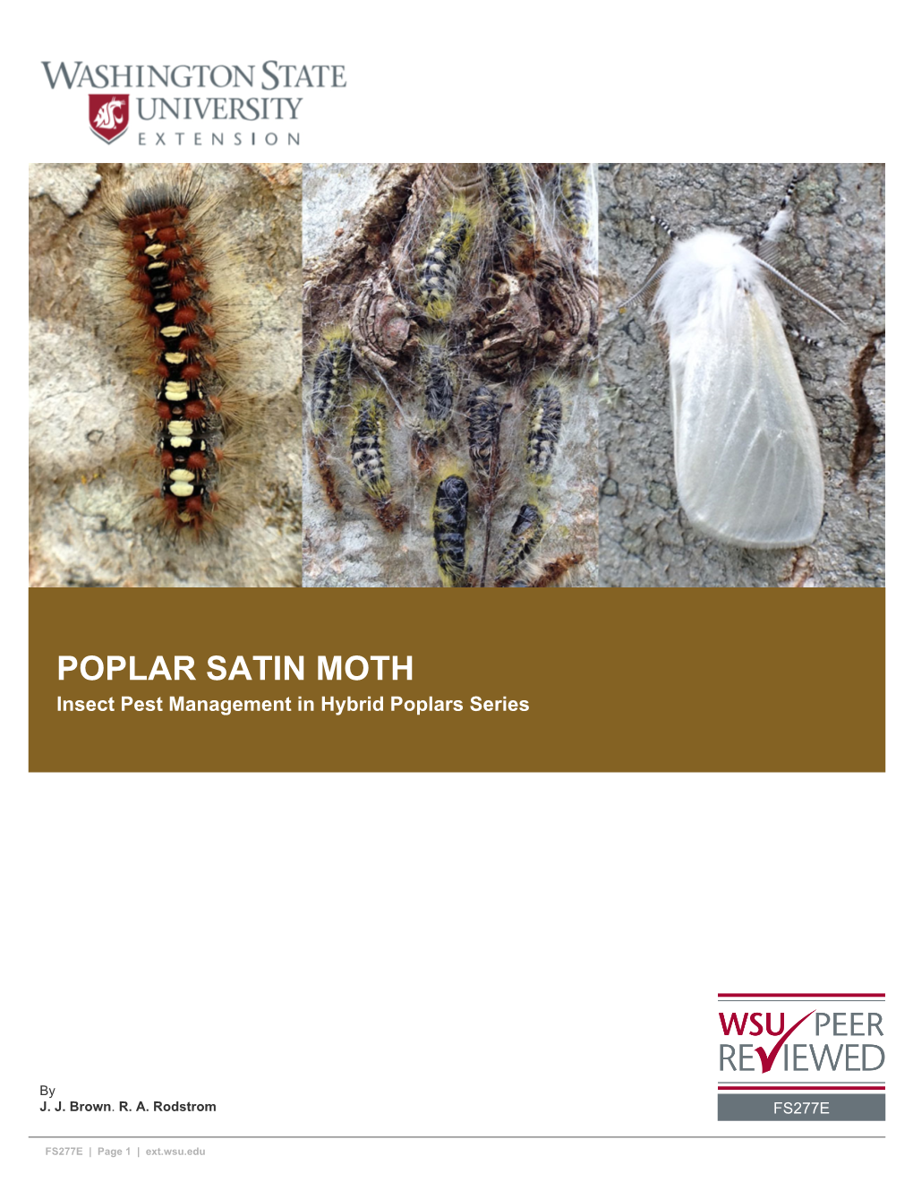 POPLAR SATIN MOTH Insect Pest Management in Hybrid Poplars Series
