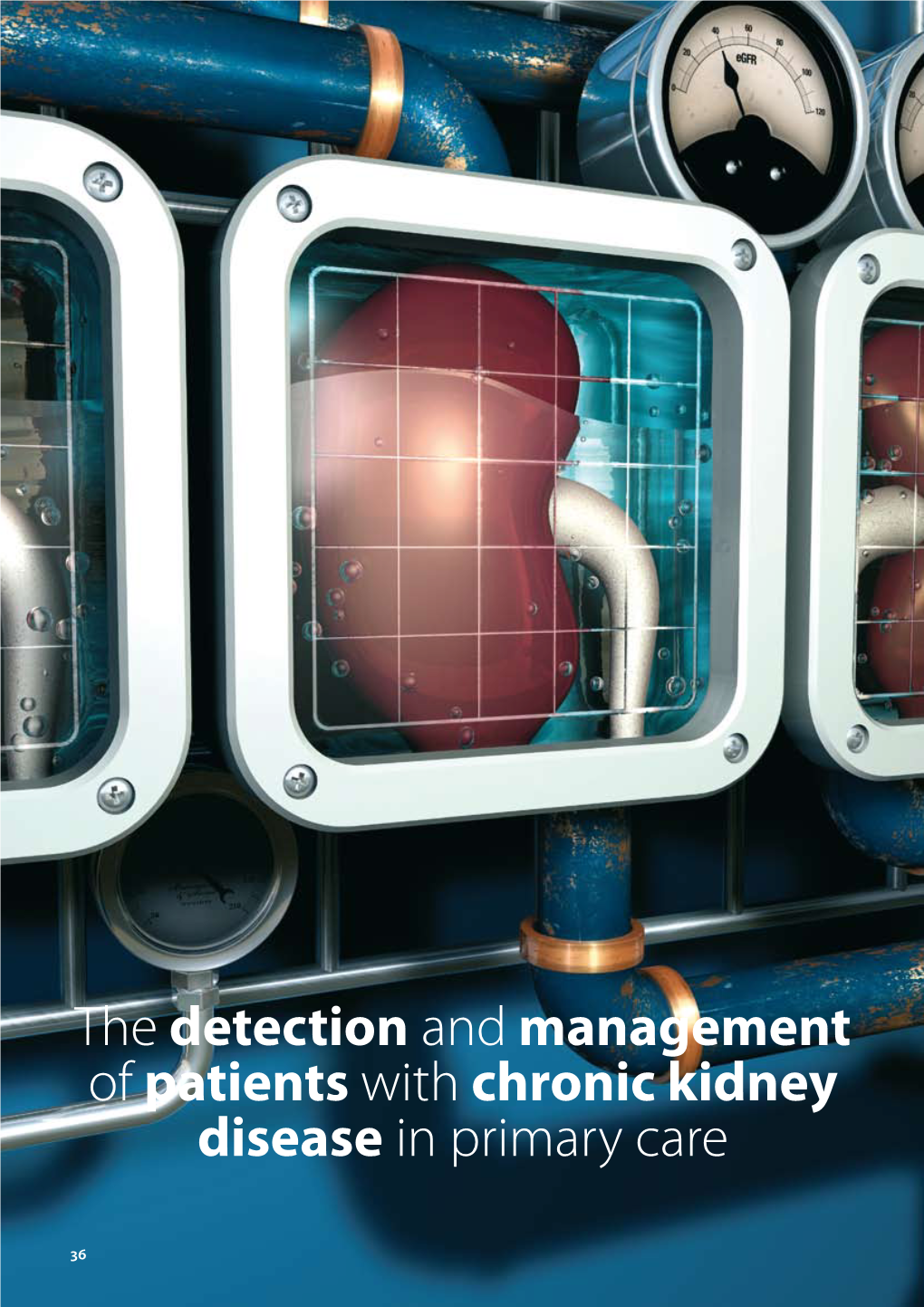 The Detection and Management of Patients with Chronic Kidney Disease in Primary Care