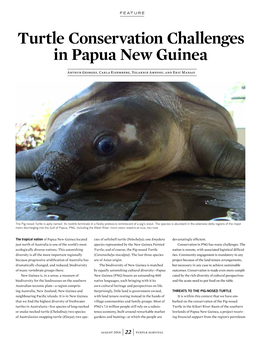 Turtle Conservation Challenges in Papua New Guinea