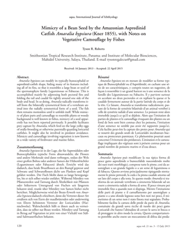 Mimicry of a Bean Seed by the Amazonian Aspredinid Catfish Amaralia Hypsiura (Kner 1855), with Notes on Vegetative Camouflage by Fishes