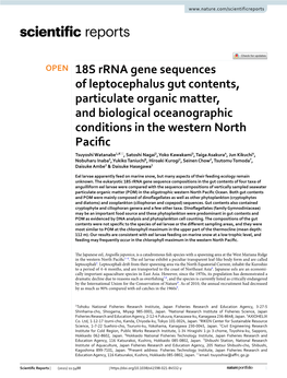18S Rrna Gene Sequences of Leptocephalus Gut Contents