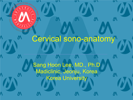 Cervical Sono-Anatomy