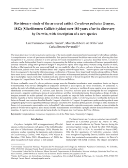 Revisionary Study of the Armored Catfish Corydoras Paleatus (Jenyns, 1842) (Siluriformes: Callichthyidae) Over 180 Years After I