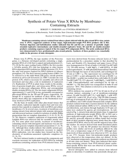 Synthesis of Potato Virus X Rnas by Membrane- Containing Extracts