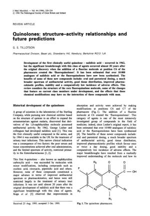 Quinolones: Structure-Activity Relationships and Future Predictions