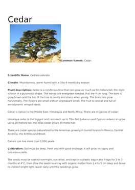 Common Names: Cedar. Scientific Name: Cedrela Odorata Climate