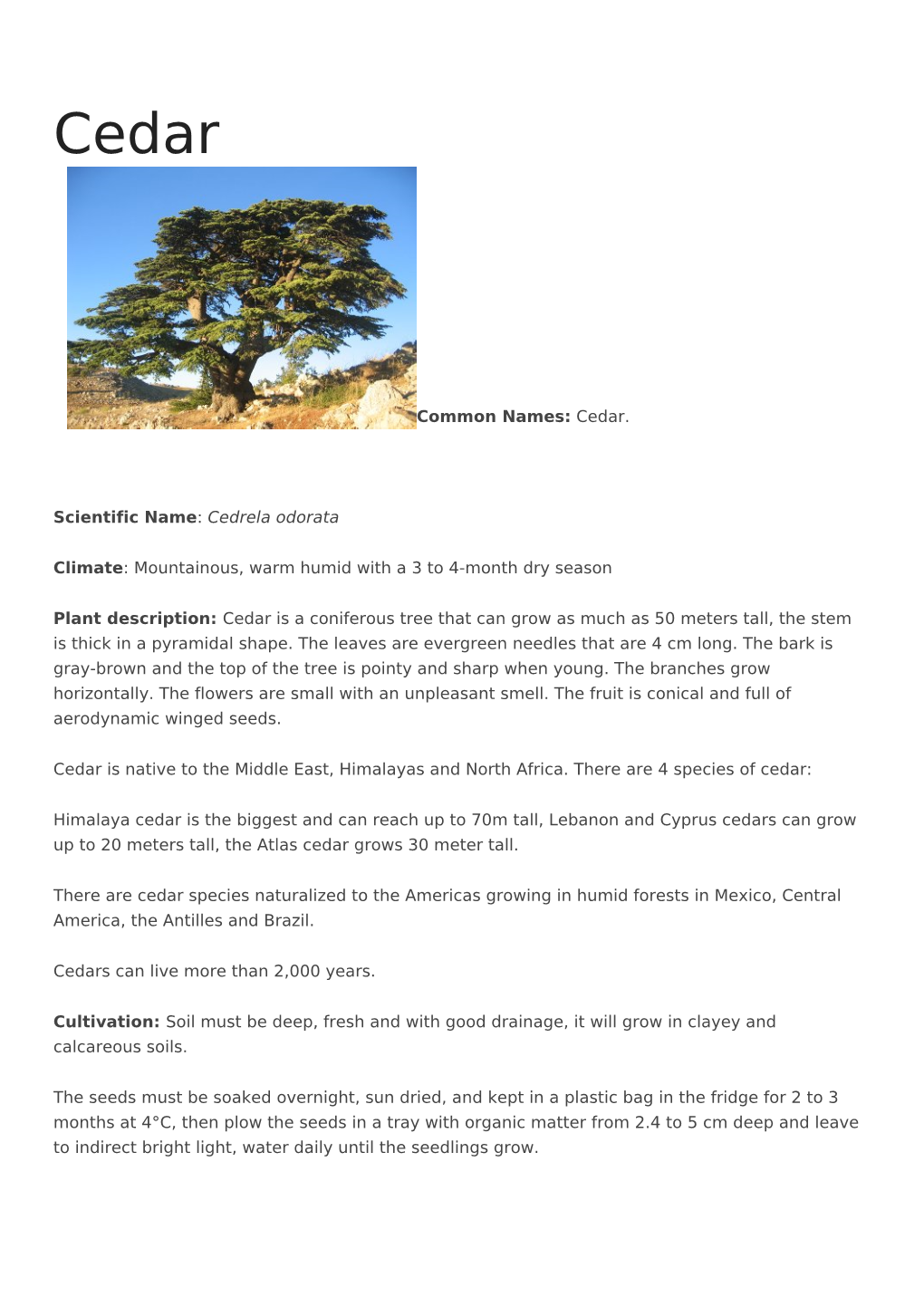 Common Names: Cedar. Scientific Name: Cedrela Odorata Climate - DocsLib