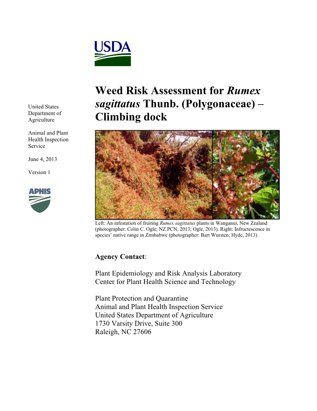 Weed Risk Assessment for Rumex Sagittatus Thunb. (Polygonaceae)