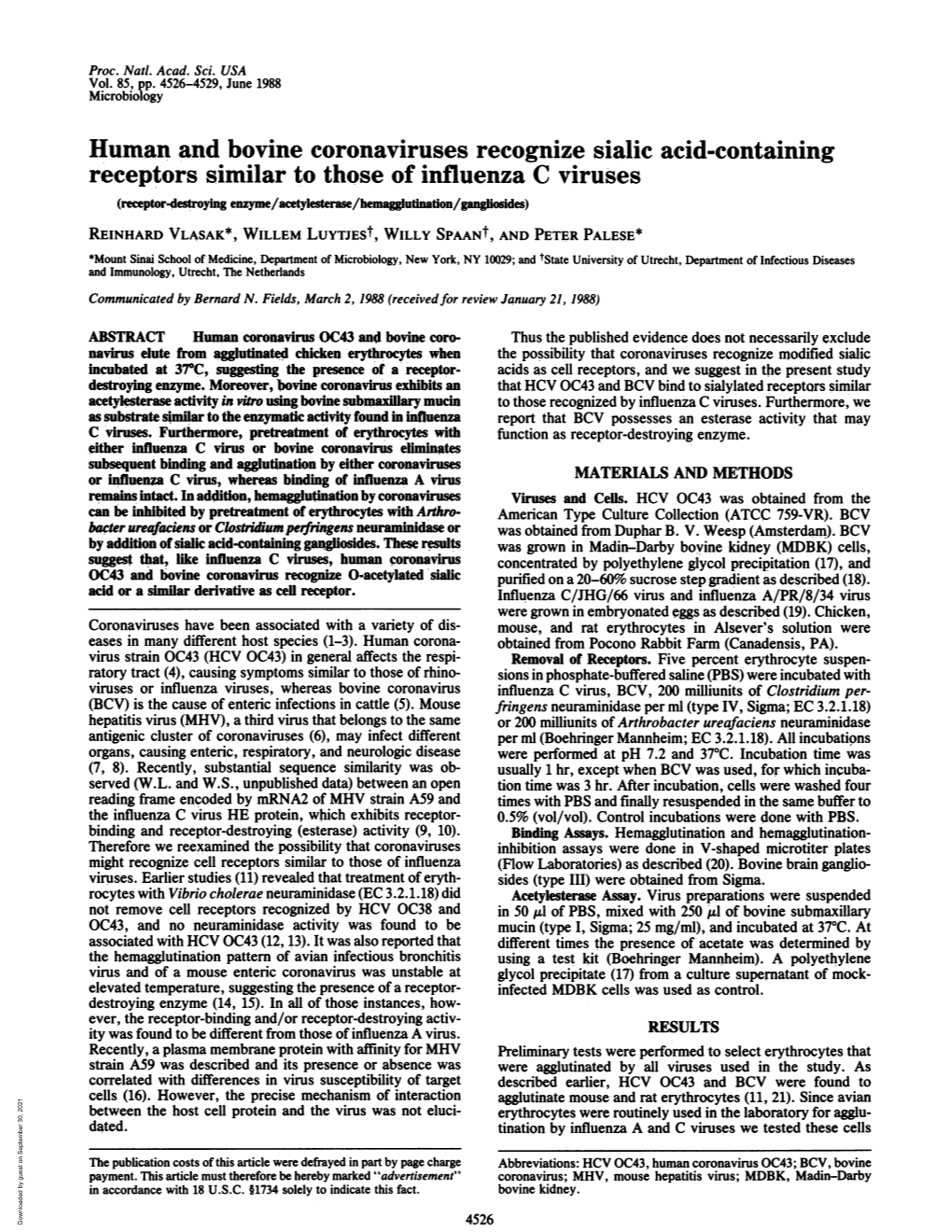 Human and Bovine Coronaviruses Recognize Sialic Acid-Containing Receptors Similar to Those of Influenza C Viruses