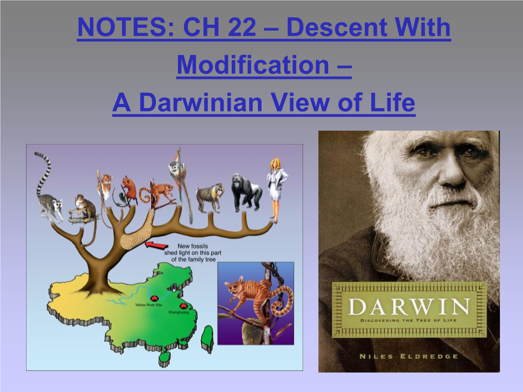 Chapter 22 Notes: Introduction To Evolution - DocsLib