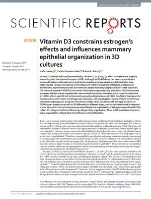 Vitamin D3 Constrains Estrogen's Effects and Influences Mammary