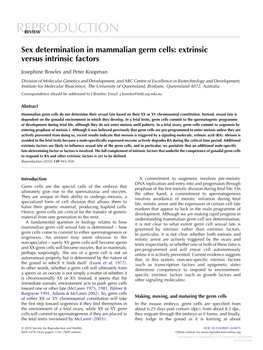 Sex Determination in Mammalian Germ Cells: Extrinsic Versus Intrinsic Factors