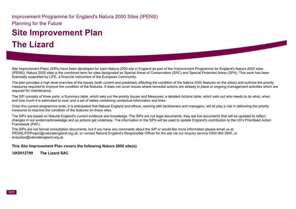 Site Improvement Plan the Lizard