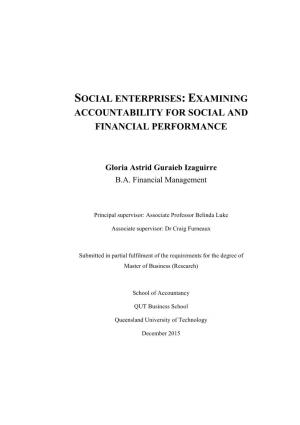 Social Enterprises: Examining Accountability for Social and Financial Performance