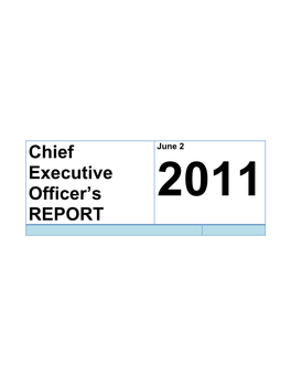 Chief Executive Officer's REPORT