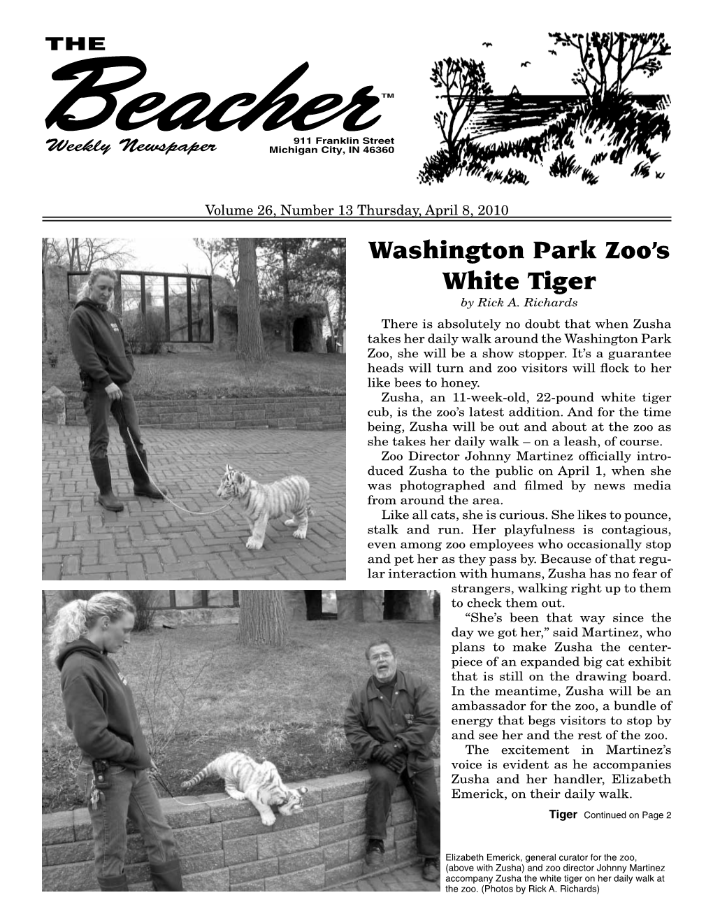 Washington Park Zoo's White Tiger