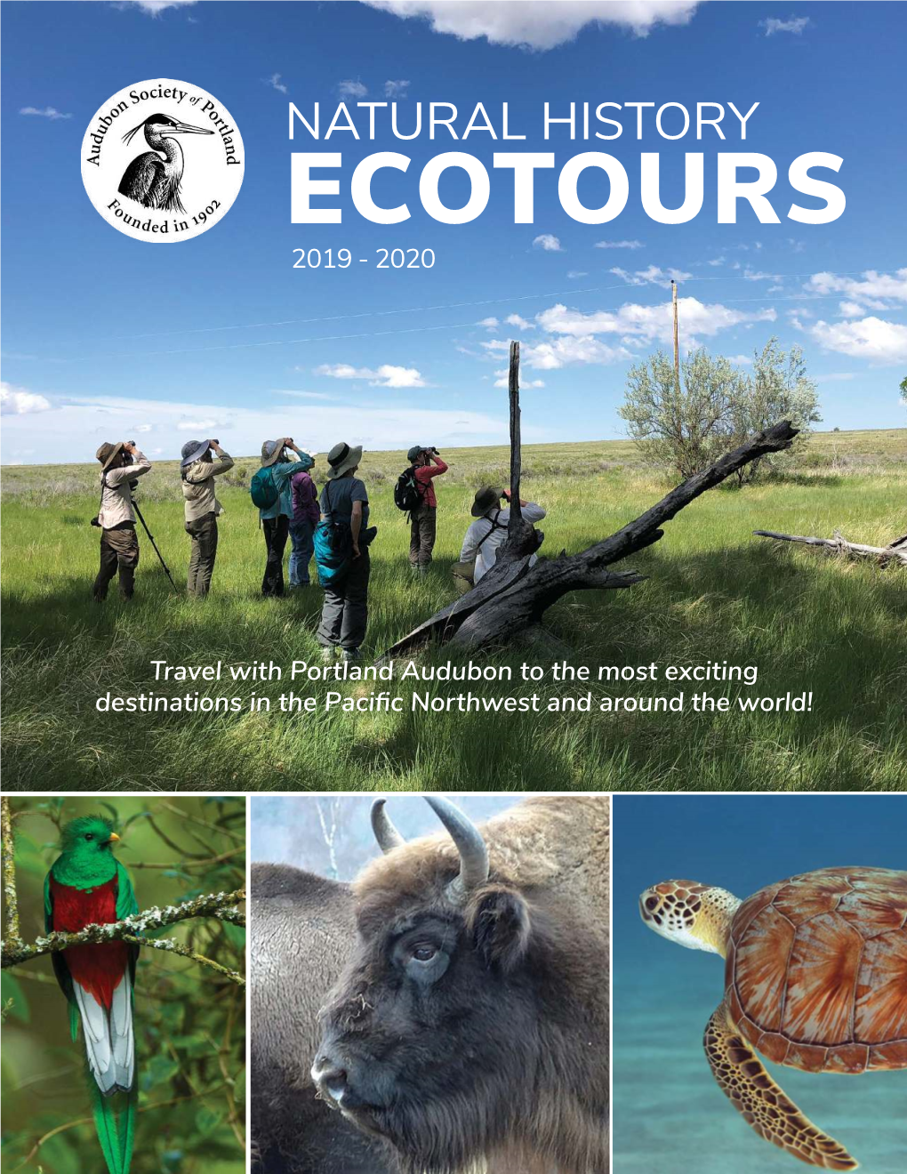 Ecotours 2019 - 2020