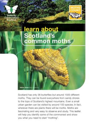 Common-Scottish-Moths-Online
