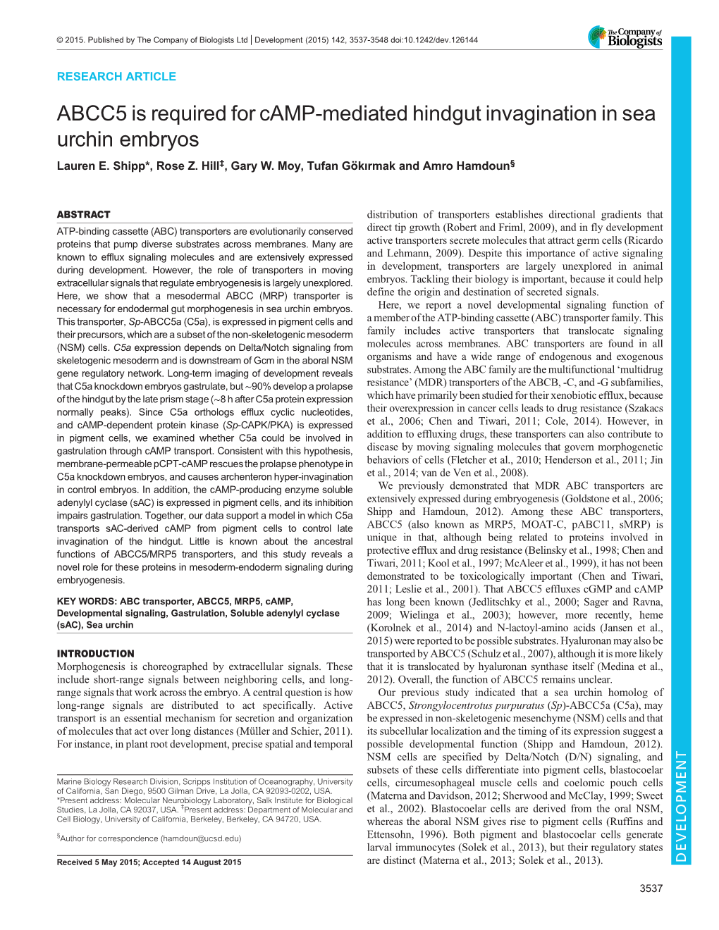 ABCC5 Is Required for Camp-Mediated Hindgut Invagination in Sea Urchin Embryos Lauren E