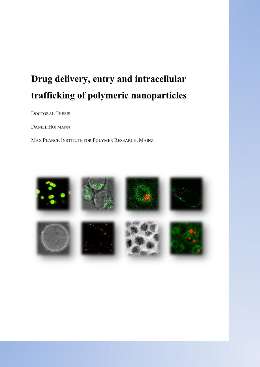 Drug Delivery, Entry and Intracellular Trafficking of Polymeric Nanoparticles