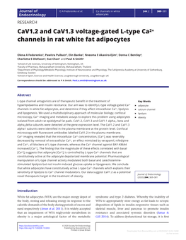 Cav1.2 and Cav1.3 Voltage-Gated L-Type Ca2+ Channels in Rat White Fat Adipocytes