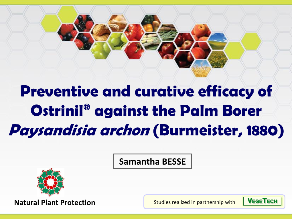 Preventive and Curative Efficacy of Ostrinil® Against the Palm Borer Paysandisia Archon (Burmeister, 1880)