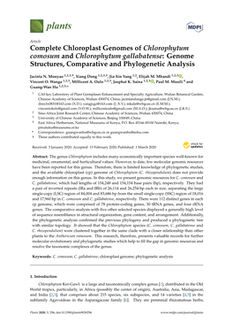 Complete Chloroplast Genomes of Chlorophytum Comosum and Chlorophytum Gallabatense: Genome Structures, Comparative and Phylogenetic Analysis