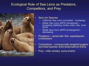 Ecological Role of Sea Lions As Predators, Competitors, and Prey