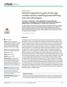 Selection Signatures in Goats Reveal Copy Number Variants Underlying Breed-Defining Coat Color Phenotypes