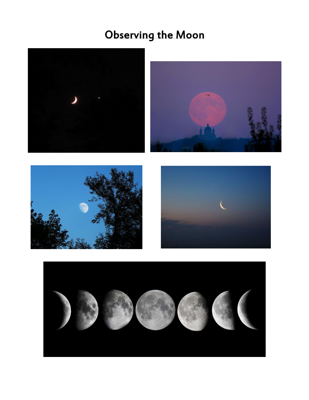 Lunar Phases