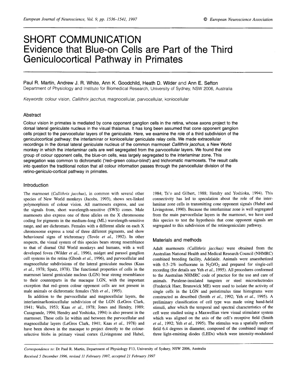 On Cells Are Part of the Third Geniculocortical Pathway in Primates