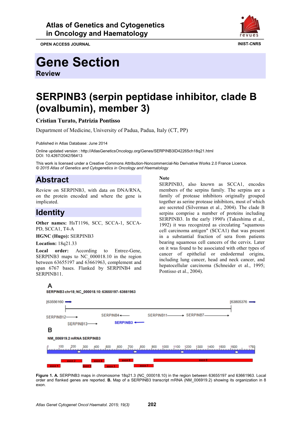 Gene Section Review