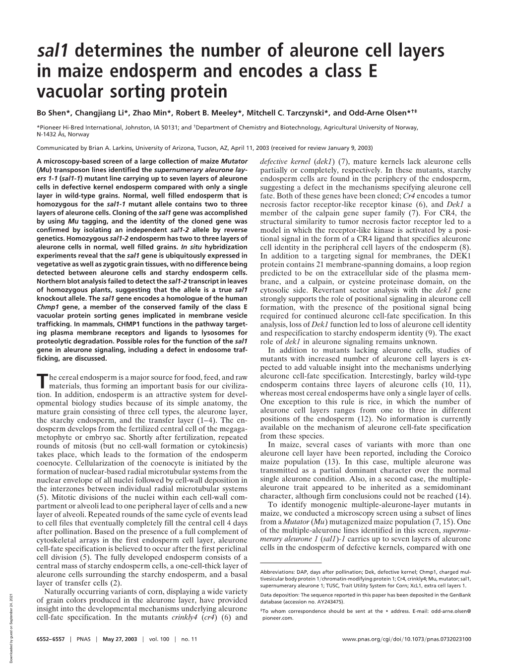 Sal1 Determines the Number of Aleurone Cell Layers in Maize Endosperm and Encodes a Class E Vacuolar Sorting Protein